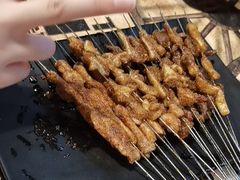 瘦肉-老味烧烤(园林路店)