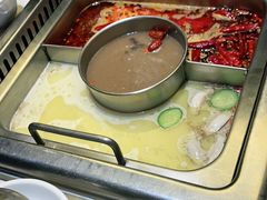 -巴奴毛肚火锅(九洲店)
