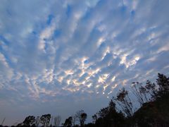 -宁波市保国寺古建筑博物馆