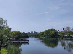 -新江湾城公园