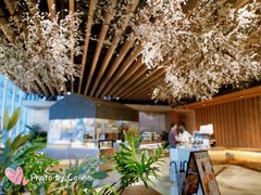 -Seesaw Coffee(朝阳大悦城店)