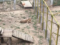 -青藏高原野生动物园