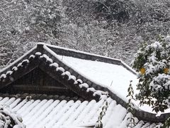 -杭州半山国家森林公园
