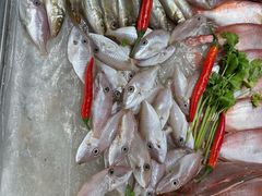 -长平老姿娘夜粥(平东一街店)