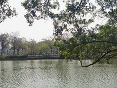 -番禺大夫山森林公园