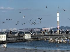 -东港音乐喷泉广场