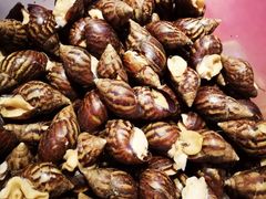 香辣蜗牛-霄汉羊排(万松园一店)