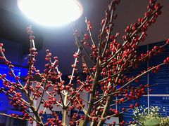 -春树下·树屋花房西餐厅(罍街AS1980店)