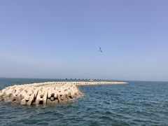 -东港音乐喷泉广场