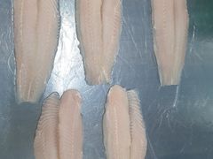 -旗鱼海番村(Orang Asli)