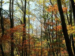 -丹东天桥沟景区
