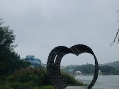 -大塘金香草谷