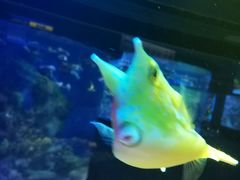 -左海海底世界
