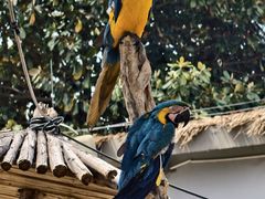 -南京金牛湖风景区