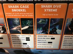 -凯莉-塔尔敦海洋生物水族馆
