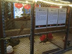 -鱼窝棚柴火铁锅炖(富山屯店)