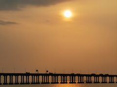 -宝安西湾红树林湿地公园