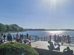 -丁香湖公园