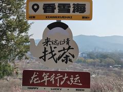 -香雪海