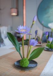 -圣贝拉母婴护理中心(深圳莱佛士店)