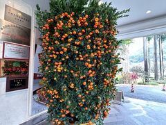 -寻味顺德·顺峰山庄(大良店)