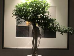 -一澜江宴·江景地标楚菜(江滩公园店)