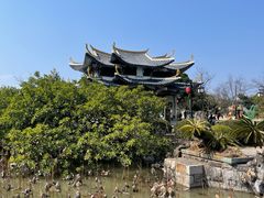 -江心屿景区
