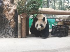 -杭州野生动物世界