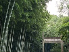 -黄公望隐居地