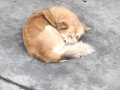 -楠溪江风景名胜区