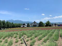 -富田农场