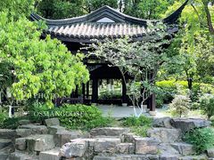 -范蠡湖公园