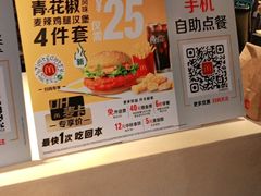 -麦当劳(衡阳中心汽车站店)