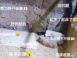 -酷嗒动物文化乐园(cutezoo西溪乐天城店)