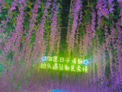 -光明农场大观园