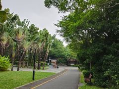 -深圳国际园林花卉博览园