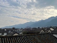 -喵屿·大理花园猫咖