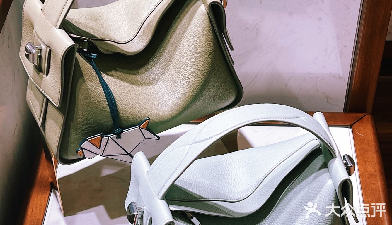 国货品牌ZESH,明星都在背,千元买同款!