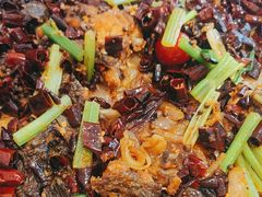 -老板恋上鱼(恒隆广场店)