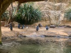 -悉尼海洋生物水族馆