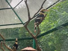 -海南热带野生动植物园