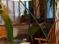 -the rug 飞毯 (朝阳公园店)
