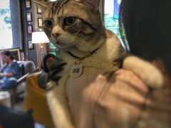 -咖法森林·咖啡  酒吧(天河店)