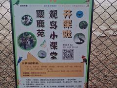 -北京麋鹿生态实验中心