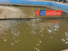 -粮心小农·大头虾亲子生态园(长发店)