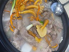 -九寨特色牦牛肉汤锅 羊肉汤锅