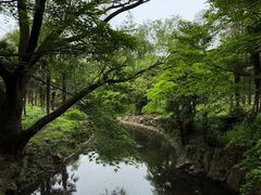 -上海共青森林公园