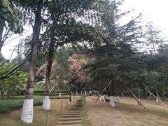 -龙头寺公园