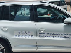 -香港大学