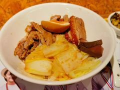 金奖卤鹅肉饭-陈鹏鹏潮汕菜(宝安机场T3航站楼店)